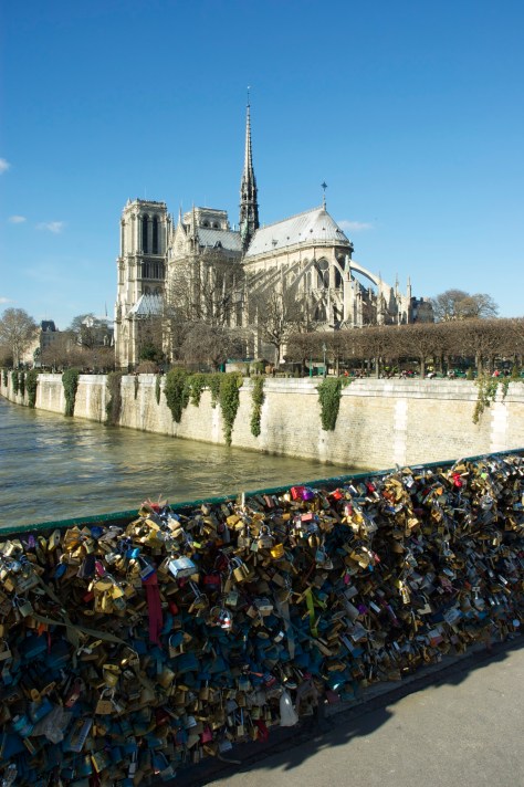 This kills the view of Notre Dame/Ça tue la vue de Notre Dame (Feb/Fev 2014)